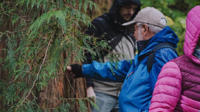 ケチカン: アラスカ・レインフォレスト・サンクチュアリ - パワード・バイ・カワンティ・アドベンチャーズとトーテムパーク散策