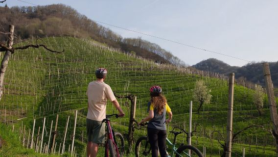 Valdobbiadene: Lawatan e-basikal di Bukit Prosecco