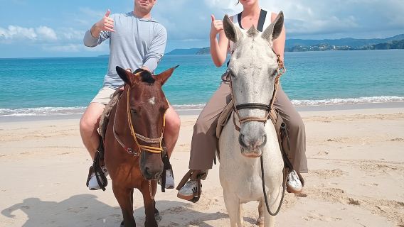 Horseback Riding - 1 hour 30 minutes Guided Tour