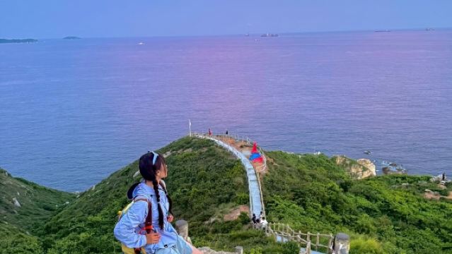 Shenzhen: Dapeng Ancient City + Lutzui Villa + Observatory | Multilingual Guide (Including Chinese & English) - Customize Private Charter