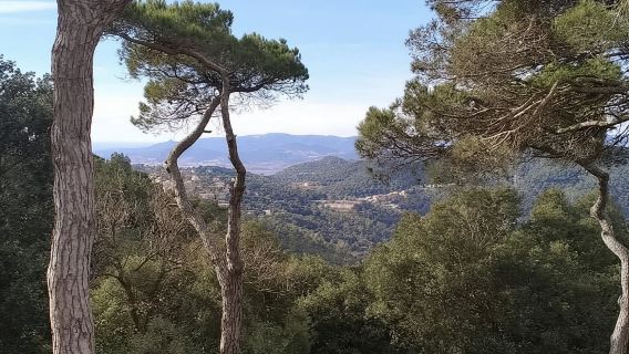 Customized Tour Around Sitges from Barcelona [10 hr Vehicle Service + Flexible Itinerary]