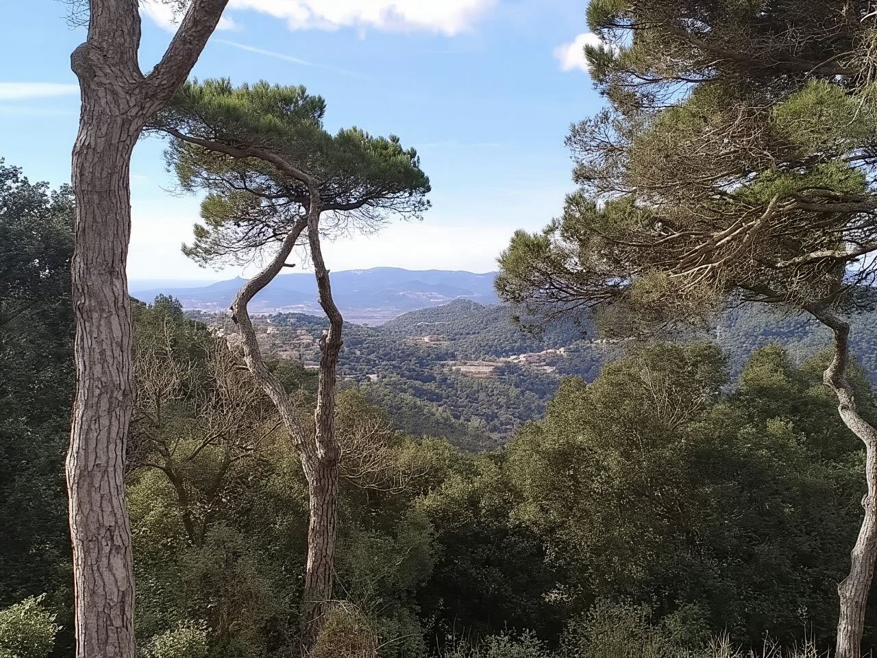 Customized Tour Around Sitges from Barcelona [10 hr Vehicle Service + Flexible Itinerary]