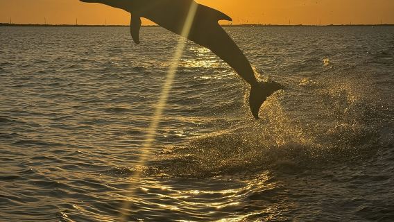 Cayo Largo: Crucero al atardecer