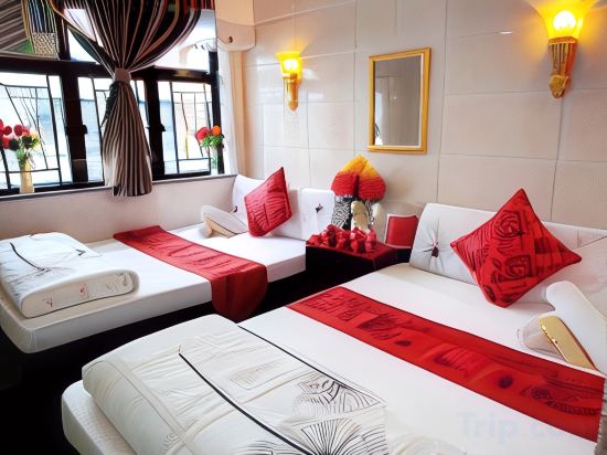 Budget Hostel Room Type - Standard Twin Room