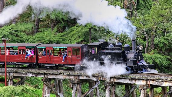 Puffing Billy And Healesville Sanctuary Scenic Tour