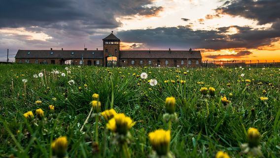 Visita guidata da Cracovia ad Auschwitz-Birkenau con opzioni di prelievo