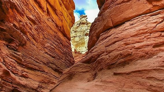 Sharm El SheikhTours