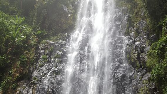 Materuni Waterfalls & Coffee Tour from Moshi