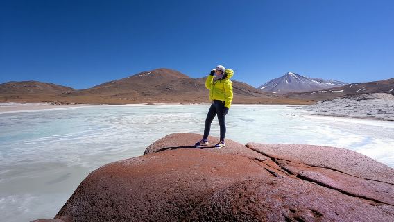 ทัวร์เต็มวัน Piedras Rojas Altiplanic Lagoons ทะเลสาบ Chaxa