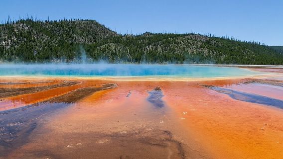 Tur Taman Nasional Sehari Penuh Terbaik Yellowstone dari Bozeman