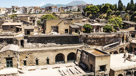 Mount Vesuvius and Herculaneum tour with transportation
