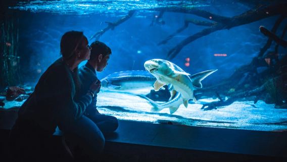 Norway + Floyen Mountain + Fantoft Stave Church + Bergen Aquarium one-day tour