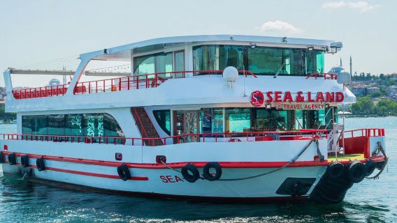 Half-day Bosphorus boat cruise experience in Istanbul, Türkiye