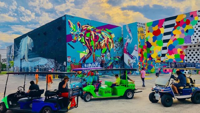 윈우드 버기 투어 (1시간)