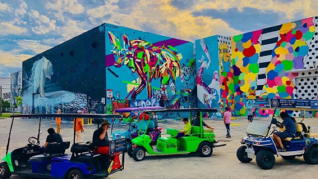 Tour en buggies de WYNWOOD de 1 hora