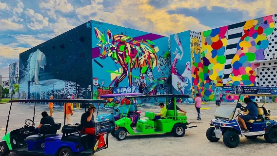 Tour di 1 ora con i BUGGIES WYNWOOD