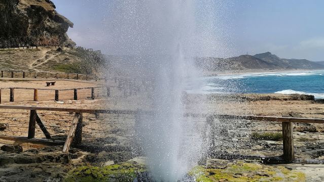West Salalah, Al Mughsail Beach, White Beach, Frankincense Tree (Half day Tour)