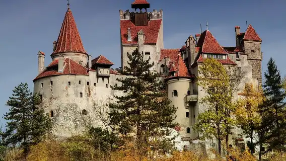 3 Castle:Peles ,Bran,Cantacuzino Tour from Brasov /Hotel pickup 