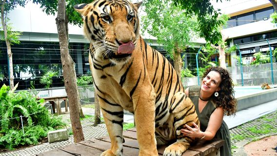Ko SichangTour Trong Ngày
