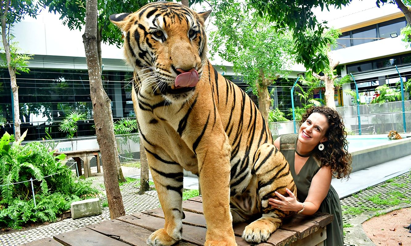 Pattaya Tiger Park - Get up close with tigers, perfect for family trips