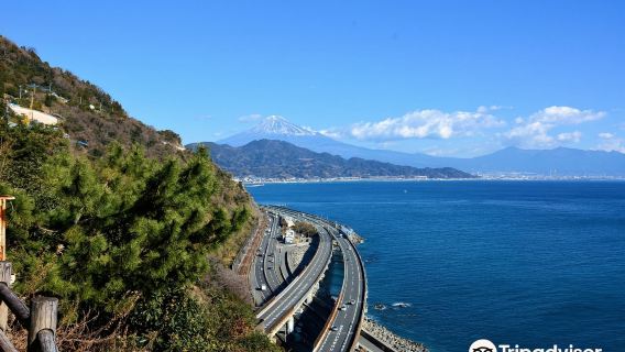 靜岡日遊