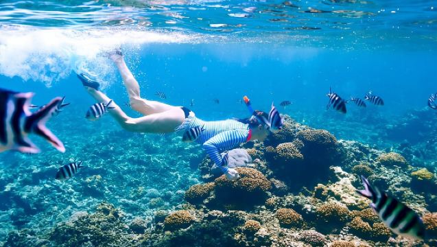 Sharm El Sheikh Snorkeling Day Trip To White Island & Ras Mohammed By VIP Boat With Transfer & Lunch
