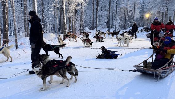 芬蘭羅瓦涅米哈士奇公園-歐納斯山【中文專車-悅享旅程】