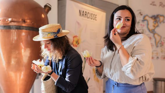 Nizza: gita di un giorno a Monaco, Eze, Grasse e Saint-Paul-de-Vence