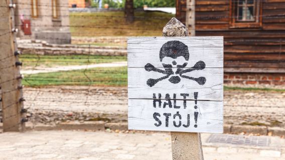 From Krakow: Auschwitz Birkenau Tour with Transfer