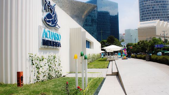 เม็กซิโกซิตี้: พิพิธภัณฑ์สัตว์น้ำอินบูร์ซา (บริการรับส่งไป-กลับ)