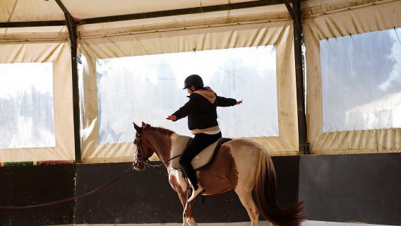 Aveiro: Reiten auf einem pädagogischen Bauernhof