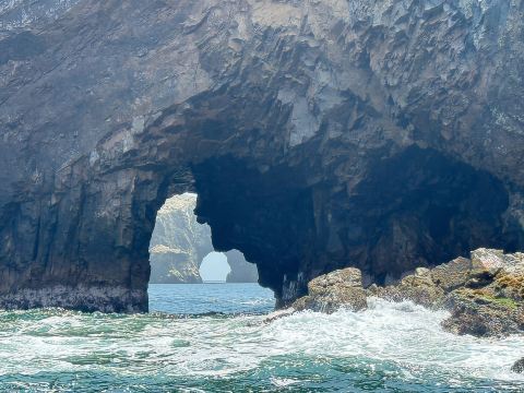 From San Martin Port: Ballestas Islands Tour in Paracas