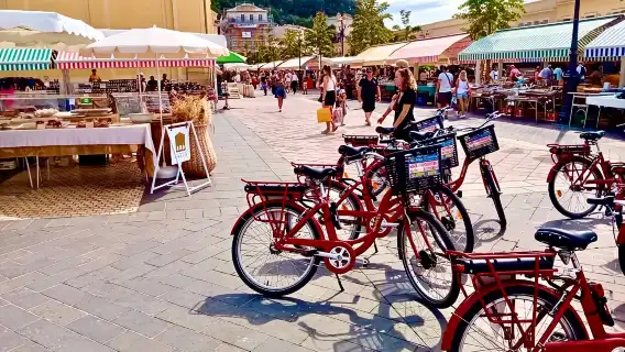 Nice 3Hrs by EBike: Essentials Oldest Districts & Panoramas