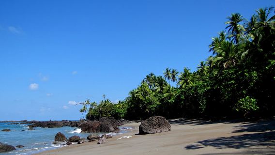 Corcovado-Nationalpark: Geführte Wanderung – ganztägig