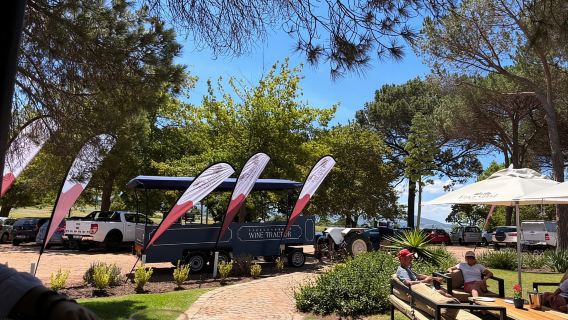 Città del Capo: tour enologico in trattore hop-on hop-off di Stellenbosch