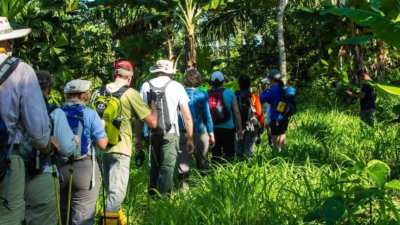 Puerto Maldonado: Trekking nella giungla + Lago Sandoval