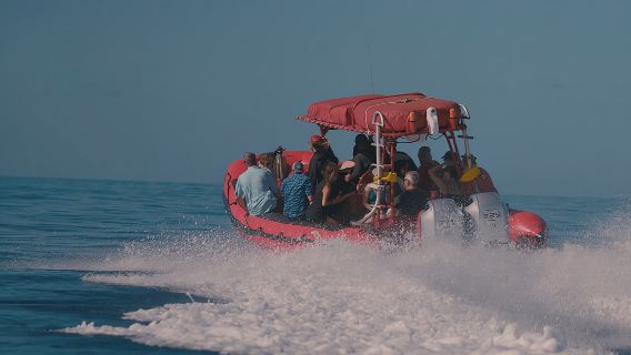 Мауи: 2-часовая поездка с маской и трубкой на Молокини