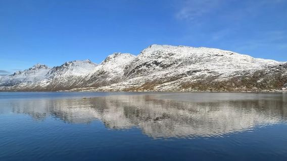 包車厄斯福德：徒步峽灣＋夜追北極光＋打卡咖啡館＋邂逅野生動物