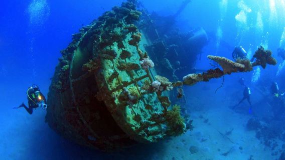 IndonesiaBaliTulamben DiveDescubre el buceobuceo submarinoUn día [Exploración del emblemático naufragio del Liberty]