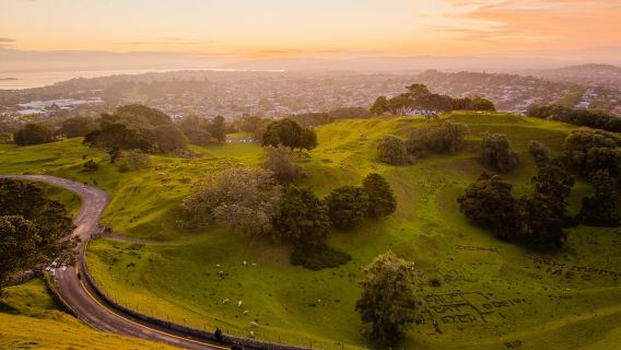 紐西蘭奧克蘭 懷歐塔普地熱仙境 可訂製南北島包車