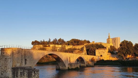 法國阿維尼翁城牆+教皇宮+阿維尼翁主教座堂【中文包車自由行】