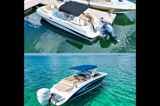 私人半日Stingray City、浮潛與海星海灘之旅