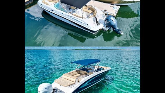 Excursion privée d'une demi-journée à Stingray City, snorkeling et plage des étoiles de mer