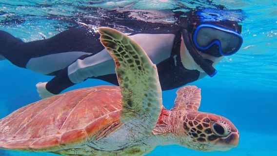 沖縄  宮古島 ADVENTURE PiPi（ミヤコジマ アドベンチャー ピピ）