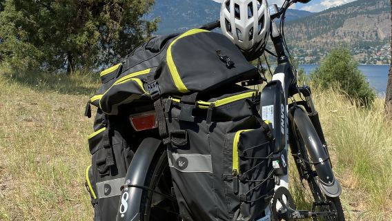 Kelowna: Okanagan Lake Guided E-Bike Tour with Picnic