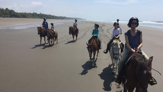 CR Beach Barn- Horseback riding on the beach all ages and levels