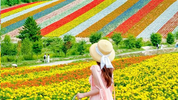 Popular: Hokkaido Furano Shikisai-no-oka, Shirahige Waterfall, and Shirogane Blue Pond (Aoiike) with optional transfer