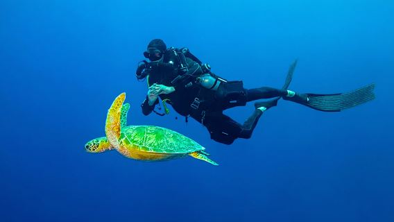 馬達京汀巴汀巴島邦邦島一日遊 仙本那跳島遊 浮潛/深潛潛水