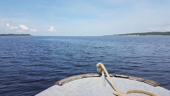 Caminata de 8 horas por la selva del Amazonas y el archipiélago de Anavilhanas