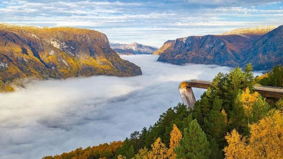 Aurlandsfjord + Worth Town + treno Flåm + tour di un giorno a Flåm